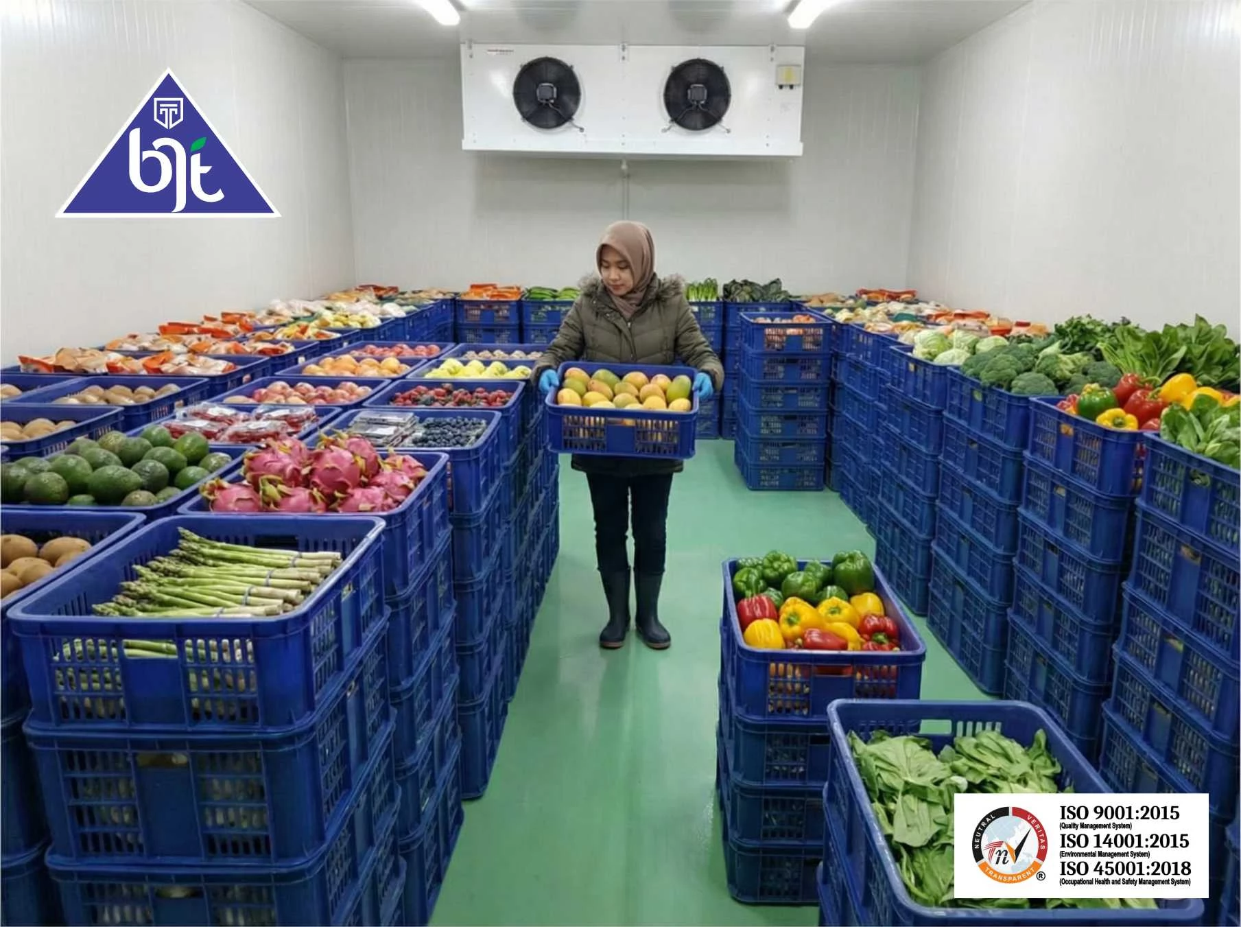 Cold storage chiller gudang pendingin buah sayuran